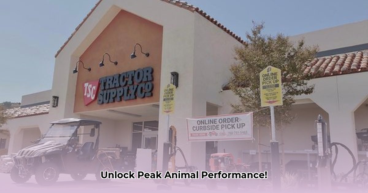 champion-drive-tractor-supply